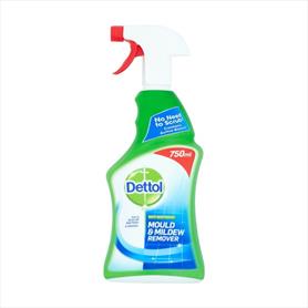 Dettol Mould & Mildew Remover 750ml